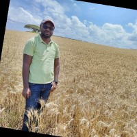 Justin Mirembe