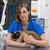 Silvia de Dios Geraldes