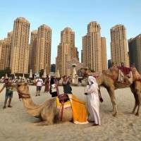 China Arab Tours