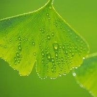 马旭东