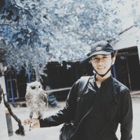 Ari Setiawan Pribadi