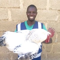 Sagir Aliyu