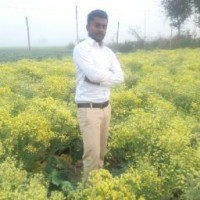 Raju kumar Maurya