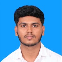 Praveen Raj N