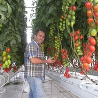 David Llano