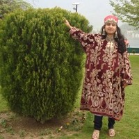 Barsha Mishar