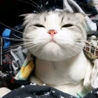 郝志文