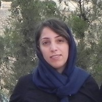 maryam zandi