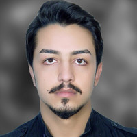 arash roshanrou