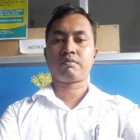 Partha Mallick