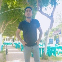 Mahmoud Aboali