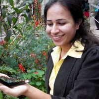 Ritu Seth