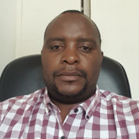 Chiparausha Brighton