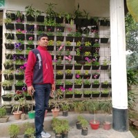 Md Nurujjaman