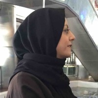 Maryam Taghibeigi