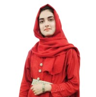 Dr Ansa Mubeen