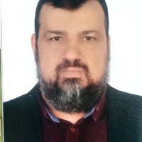 Mohamed Eltaweel