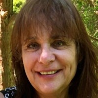 Carol Steinberg