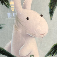 张小苏