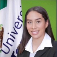 Judith Araceli Melchor Delgado