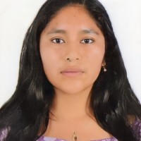 Sandra Ines Revollar choquepata