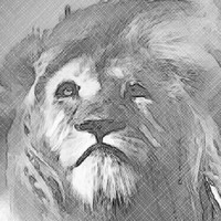 Morad Saed