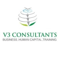 V3 Consultants India