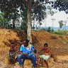 FIRUS of IBELE Firus