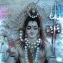 ayush sharma