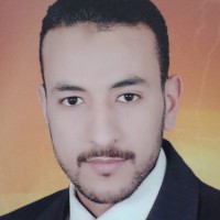 Tarek Abd El hamid