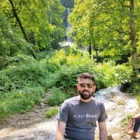 Muhammad Hamza Butt
