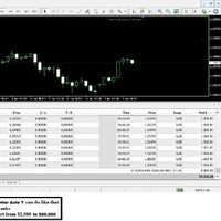 Binary Option