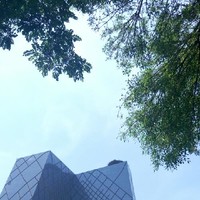 高照亮