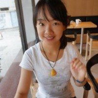 Yajing Li
