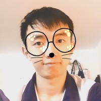 Ha Vu