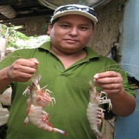 Luis Zavala