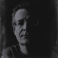 Matt Fellows