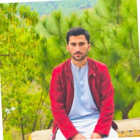 Naveed Safi