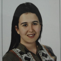 Mısra Ergin