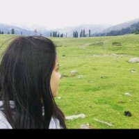 Nasreen Saifi