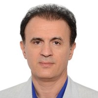 Hamid Sheikholeslami