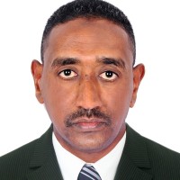 Ibrahim Awadelgeed