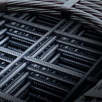 Soledad Trigo Castro