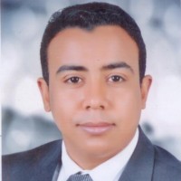 Gamal Thabet Amin