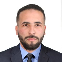 walid hamidi