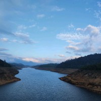 Muthu Kumar