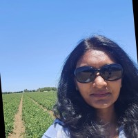 Vrushali Shiragavi