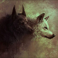 هاني البليهد