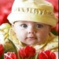 Shaik Sameer