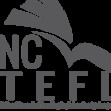 Nctefl India